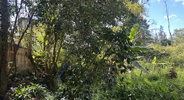 Photo of Aloha Rd, Pahoa, HI 96778