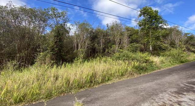 Photo of 18-4167 Hinuhinu St, Volcano, HI 96785