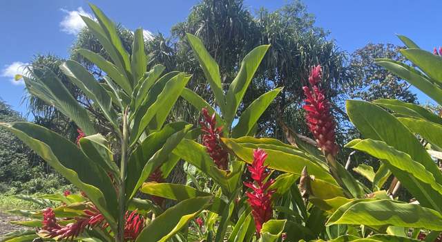 Photo of 16-1657 34th Ave, Keaau, HI 96760