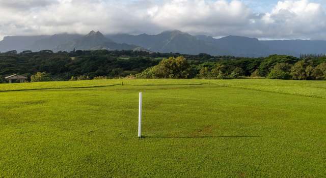 Photo of 4132 Hihimanu Rd, Kilauea, HI 96754