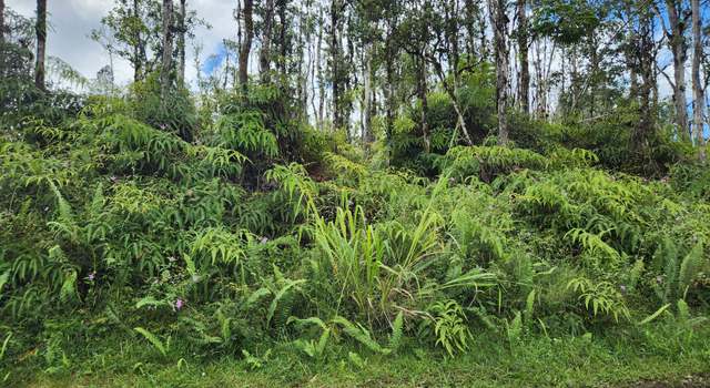 Photo of Holiday Rd, Pahoa, HI 96778