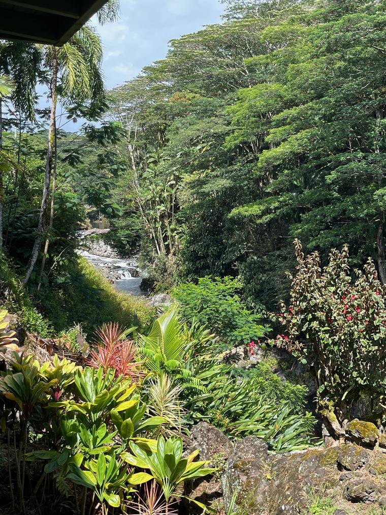 Photo of 254 Kaiulani St Hilo, HI 96720