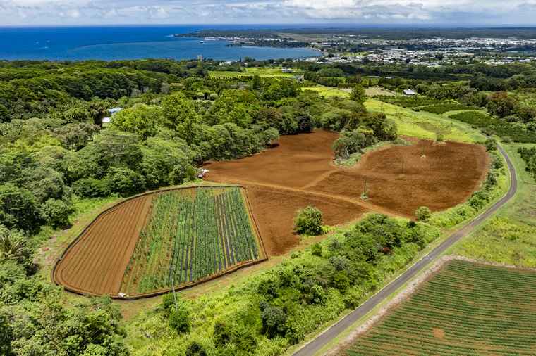 Photo of 1436 Maikalani St Hilo, HI 96720