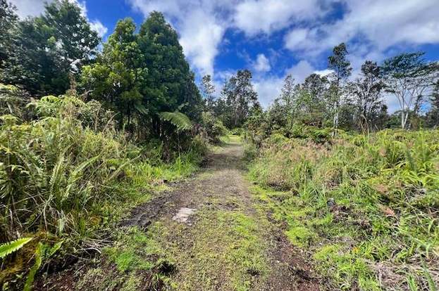 11-2828 Lehua St, Mountain View, HI 96771 | MLS# 706202 | Redfin