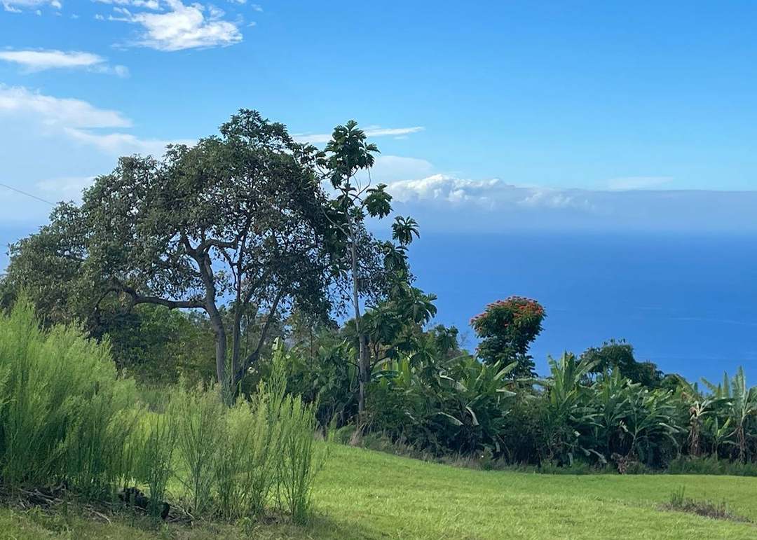 Private Rd, Captain Cook, HI 96704