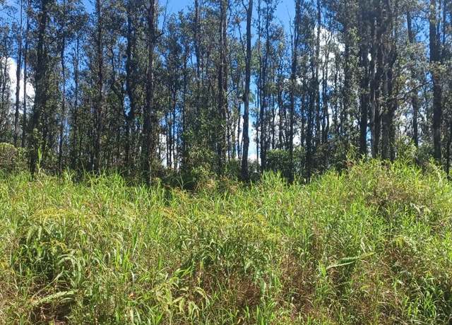 Property at 6th Ooaa Rd, Mountain View, HI 96771