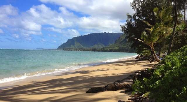 Photo of 53-549 Kamehameha Hwy #514, Hauula, HI 96717