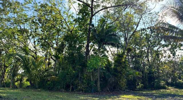 Photo of 0 Pahoa Kalapana Rd Lot 1-A-6, Pahoa, HI 96778