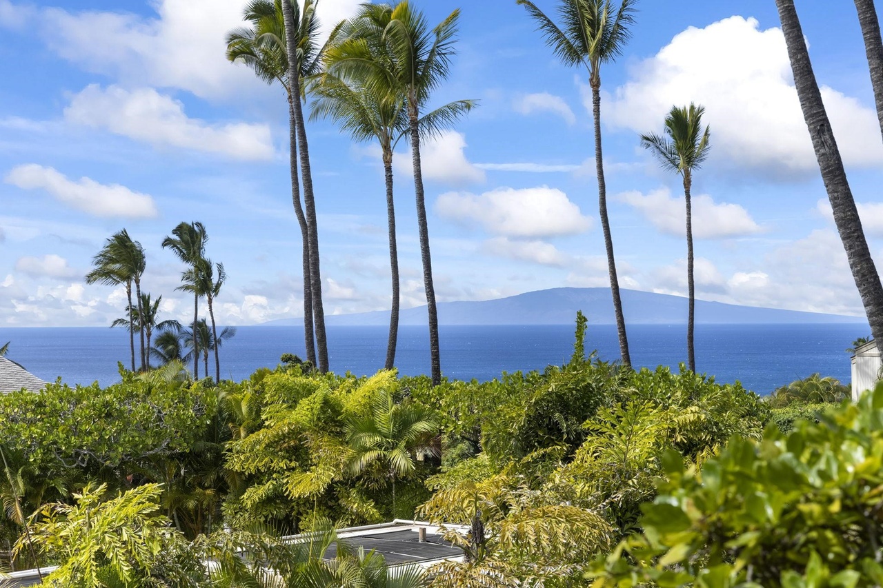 10 Wailea Ekolu Pl #1705