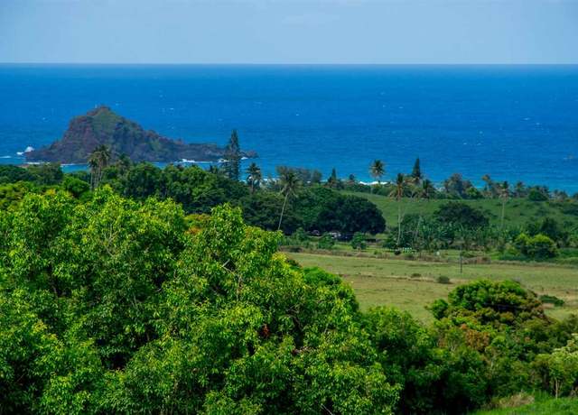Property at 153 Kapia Rd Lot D, Hana, HI 96713