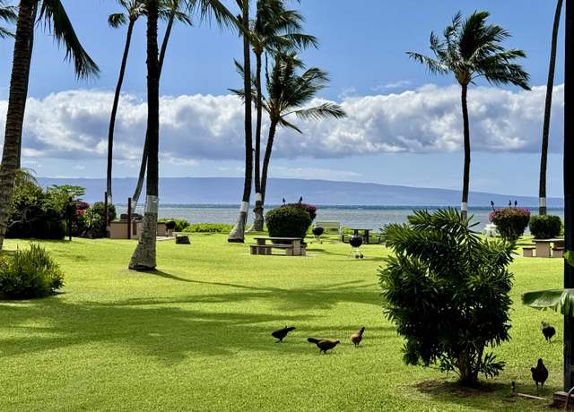 Property at 1000 Kamehameha V Hwy Unit A114, Kaunakakai, HI 96748, 1 bed, 1 bath