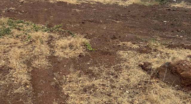Photo of 300 Lahainaluna Rd Lot 15, Lahaina, HI 96761