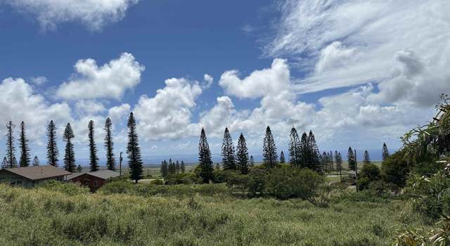 Photo of lot 461 Linohau St, Maunaloa, HI 96770-0000