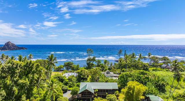 Photo of 355 Haneoo Rd, Hana, HI 96713