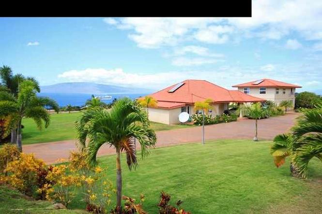 punakea palms promo code punakea palms promo code