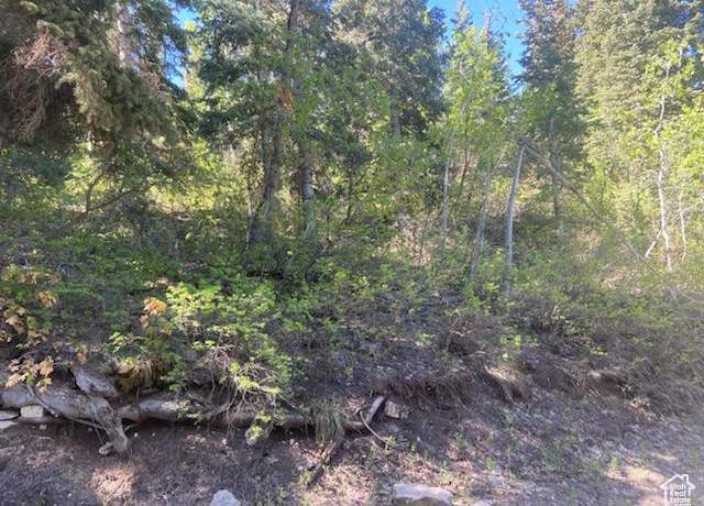Property at 135 J Quaking Aspen Dr Unit J-135, Fairview, UT 84629
