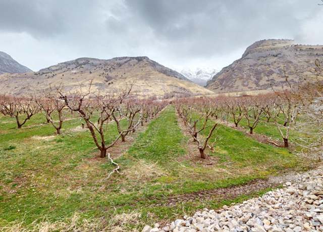Property at 1540 E 50 S, Pleasant Grove, UT 84062