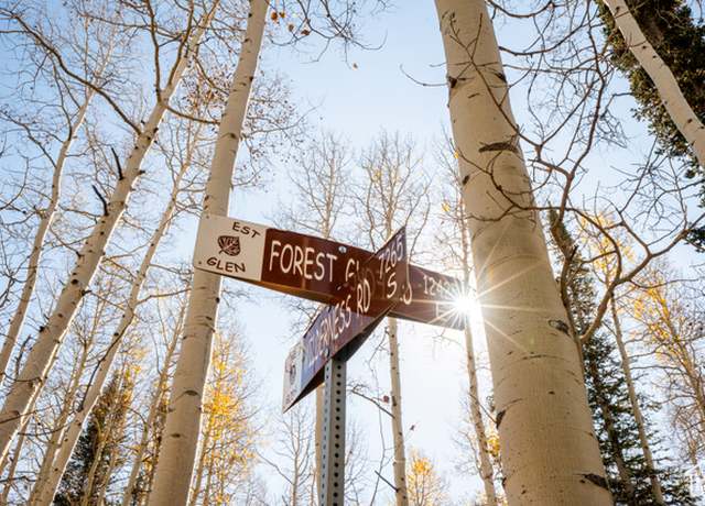 Property at 12385 E Forest Rd, Brighton, UT 84121