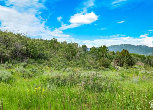 Property at Green Canyon Rd, Inkom, ID 83245