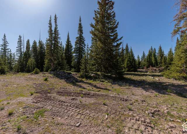 Property at 318 N Highland Dr, Brian Head, UT 84719