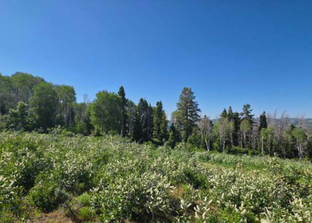 Property at 21000 18000 Unit D13, Spanish Fork, UT 84660