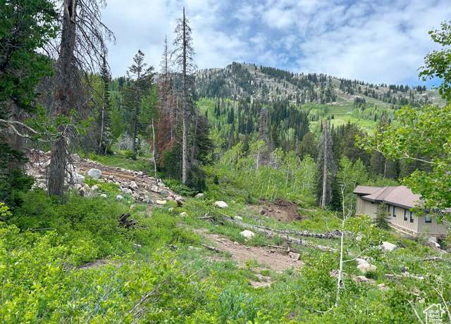 Property at 12176 E Big Cottonwood Canyon Rd, Brighton, UT 84121