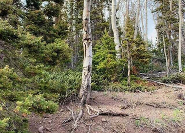 Property at #28, Beaver, UT 84713