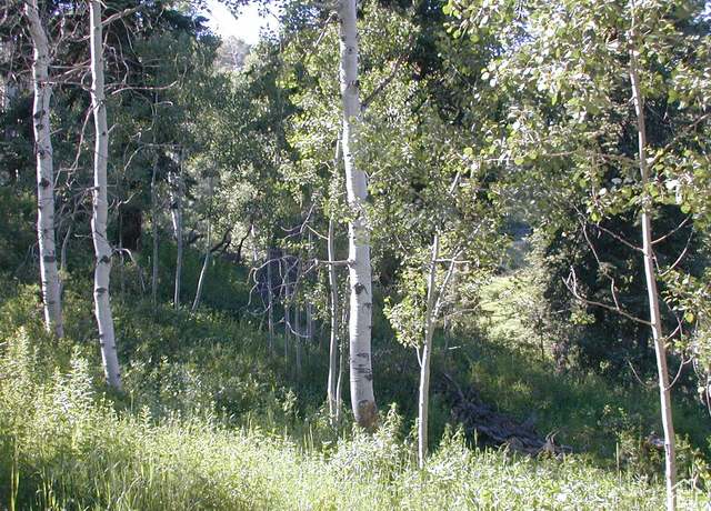 Property at 1709 Pine Loop Rd #68, Coalville, UT 84017