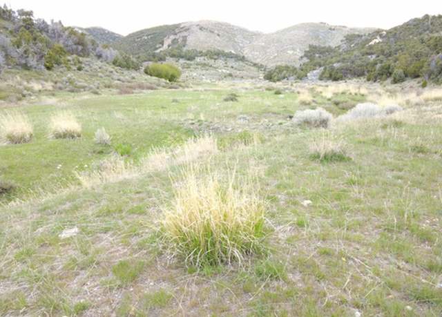 Property at Clear Springs Rd, Park Valley, UT 84329