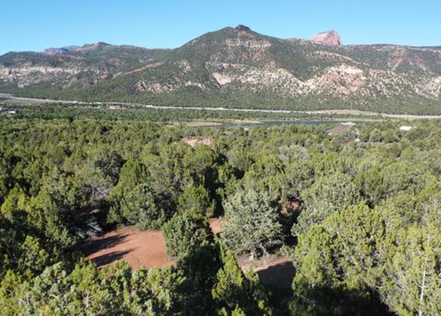 Property at S Juniper Way #317, New Harmony, UT 84757
