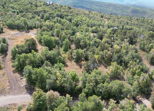 Property at 22045 N 14375 E #62, Fairview, UT 84629