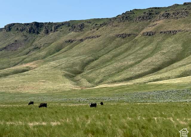 Property at Hwy 81 Hwy, Declo, ID 83323