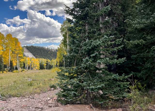 Property at N Upper Meadows Dr Dr #13, Beaver, UT 84713