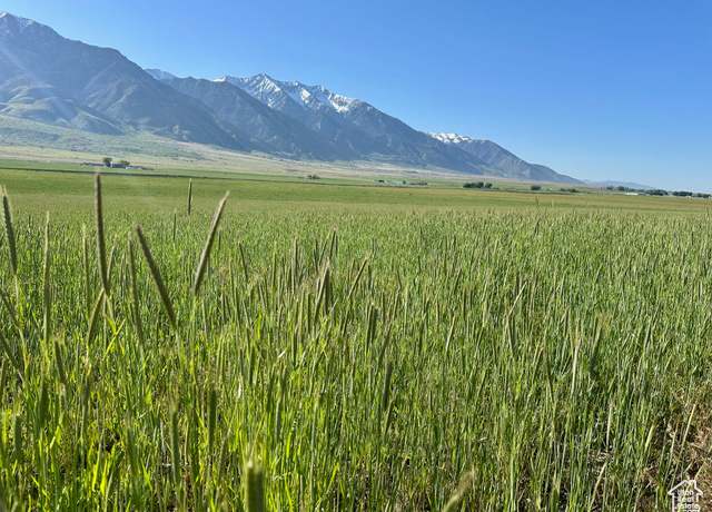 Property at Property in Mona, UT 84645