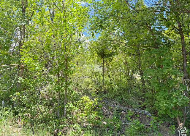 Property at 1361 Swan Creek Rd #5, Garden City, UT 84028