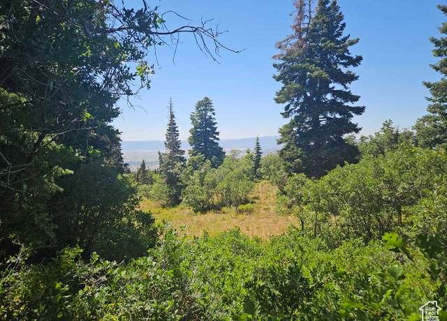Property at 1002 E North Fork Rd S #1002, Fairview, UT 84629