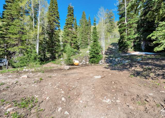 Property at 8041 S Old Prospect Ave, Brighton, UT 84121