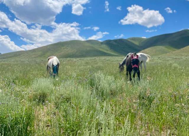 Property at 25 Stansbury Agricultural Propert #25, Grantsville, UT 84029