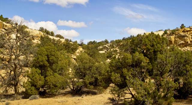 Photo of 160 S Bridger Jack Trl #9, Moab, UT 84532