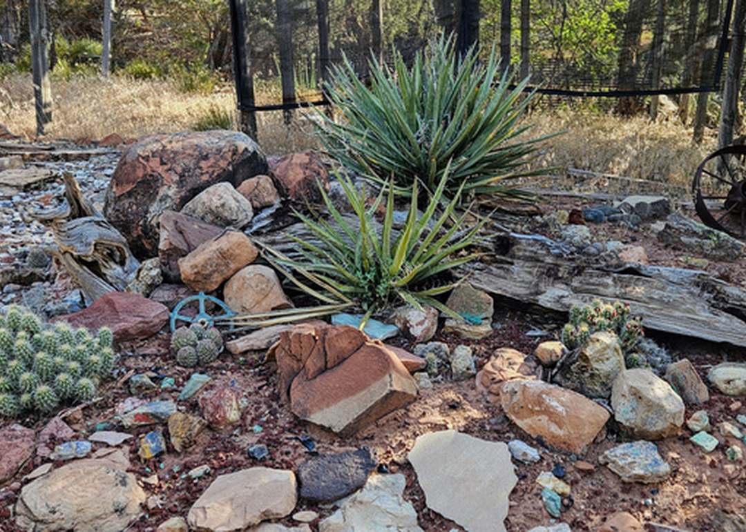19300 T 5 County Rd, Paradox, CO 81429