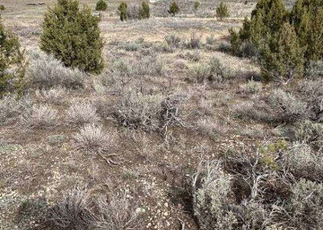 Pinecrest, Fairview, UT 84629