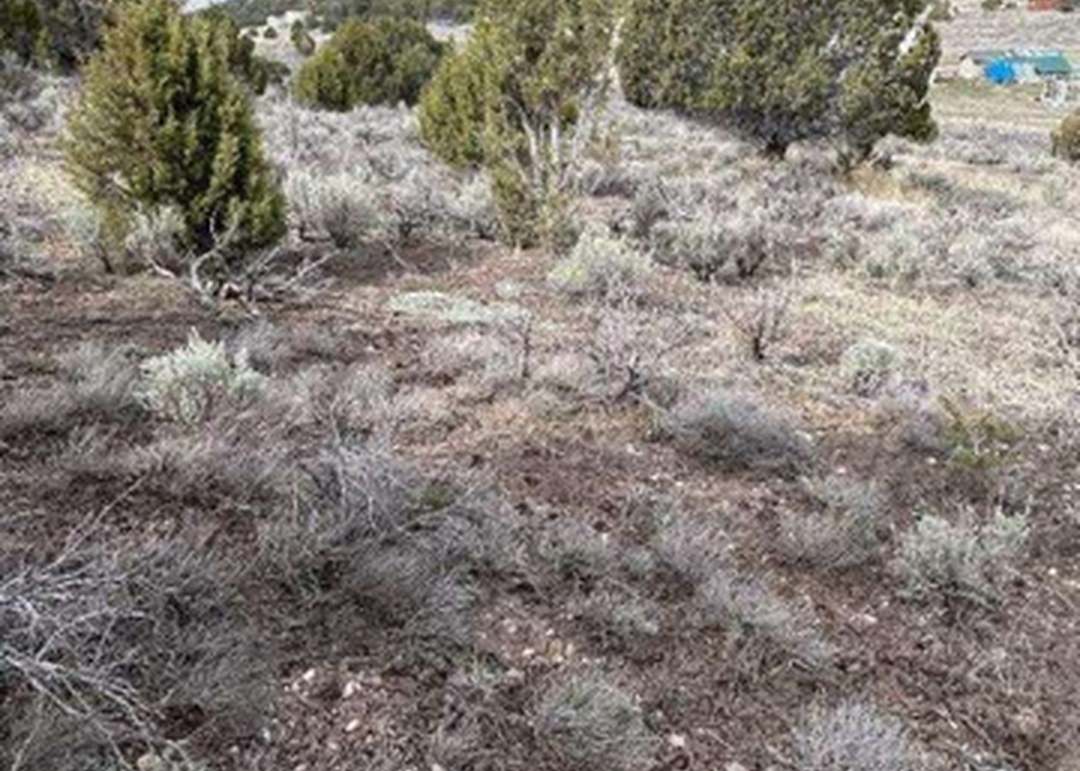 Pinecrest, Fairview, UT 84629
