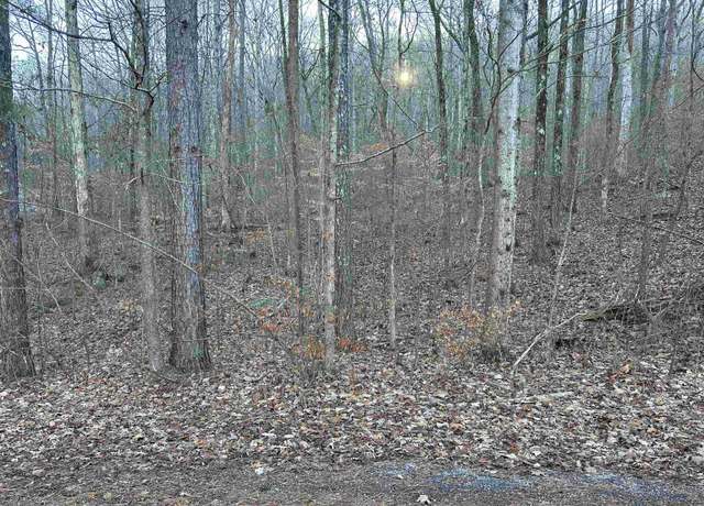 Property at 0 Valley Ln #0, Warrior, AL 35180