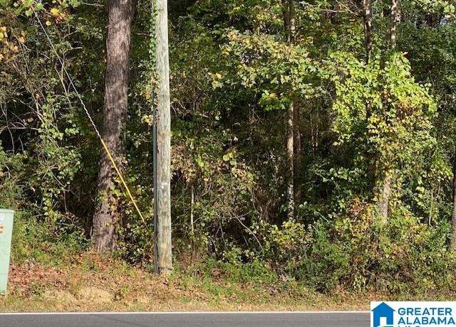 Property at 0 Sanie Rd #1, Odenville, AL 35120