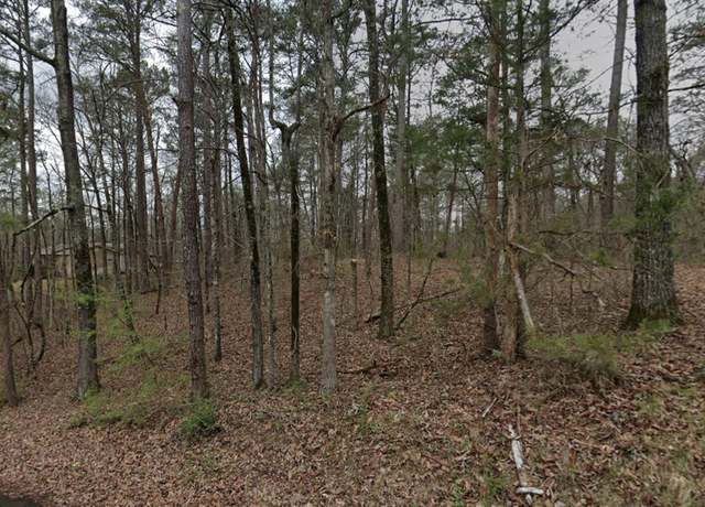 Property at 7410 Dewey Goodwin Rd #0, Pinson, AL 35126