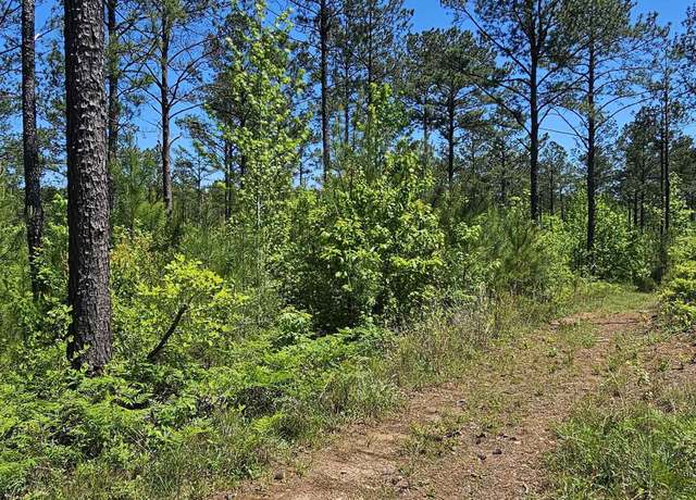 Property at 0 County Road 454 #1, Clanton, AL 35045