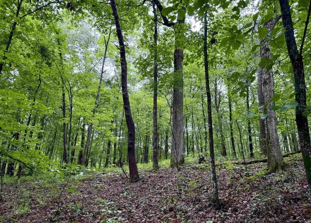 Property at 53756 Highway 25 #0, Vandiver, AL 35176