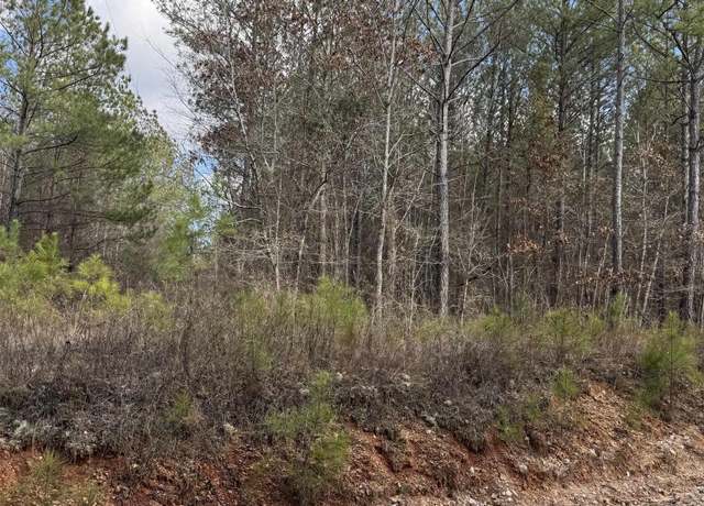 Property at 15 Acres / 823 County Road 823 Lot 1, Wadley, AL 36276