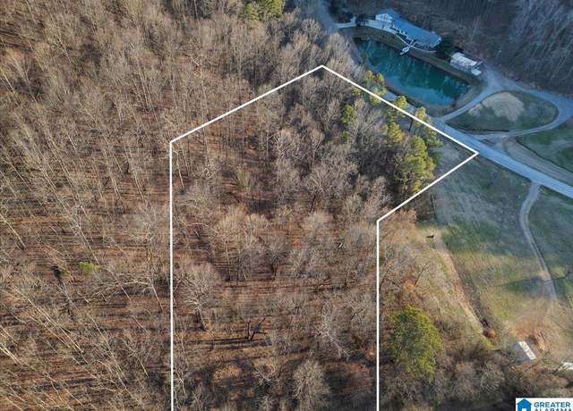 Property at 00 Rocky Hollow Rd Unit 3.00, Blountsville, AL 35031