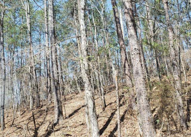 Property at County Road 520 #1, Verbena, AL 36091